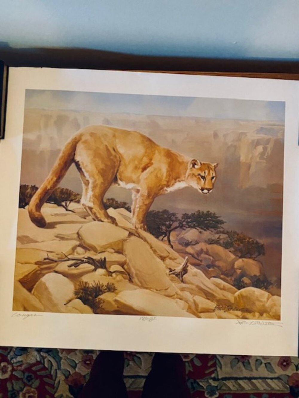 Signed lithograph "Cougar" 120/950 27"x25", Paul Schlueter, St. Louis, Realistic